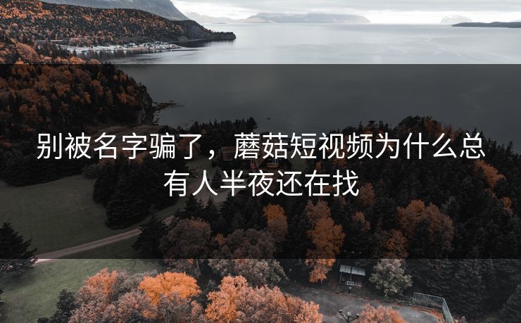 别被名字骗了，蘑菇短视频为什么总有人半夜还在找