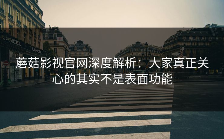 蘑菇影视官网深度解析：大家真正关心的其实不是表面功能